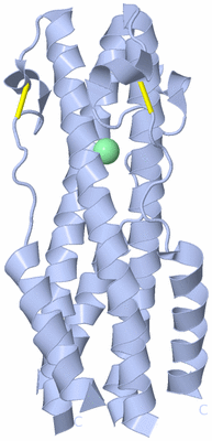 Image Biological Unit 1