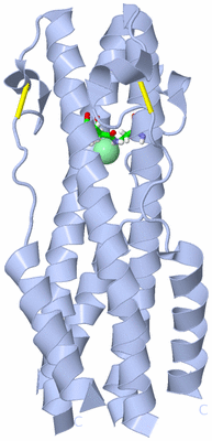 Image Biol. Unit 1 - sites