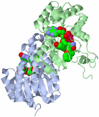 Image Asym./Biol. Unit