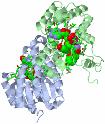 Image Asym./Biol. Unit - sites