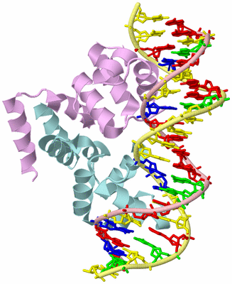 Image Biological Unit 2