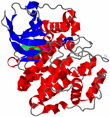 Image Asym./Biol. Unit