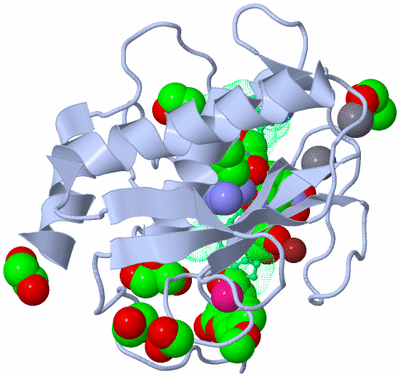 Image Biological Unit 1