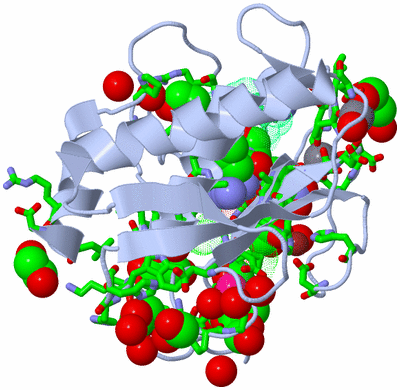 Image Biol. Unit 1 - sites