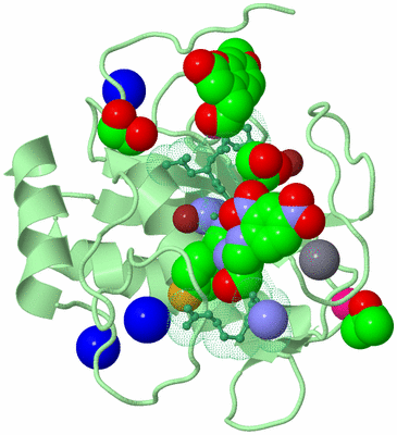 Image Biological Unit 2