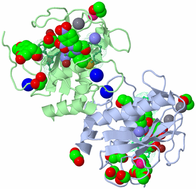 Image Biological Unit 3