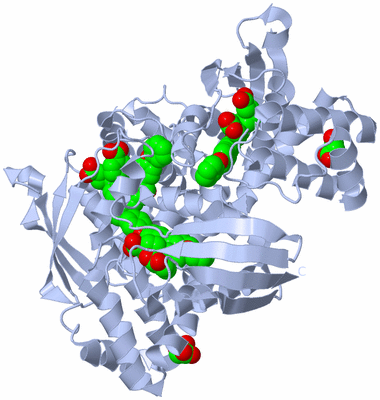 Image Biological Unit 2