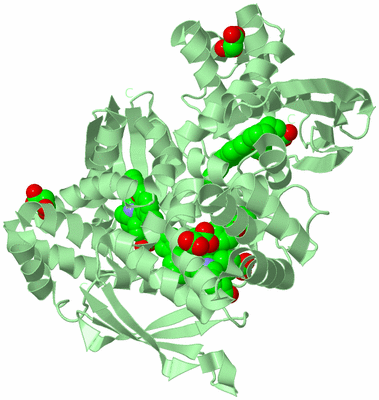 Image Biological Unit 3