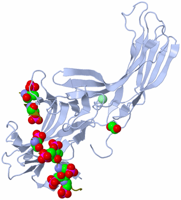 Image Biological Unit 1