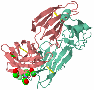 Image Biological Unit 2