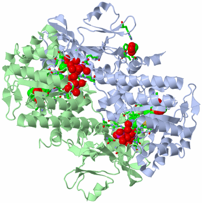 Image Asym./Biol. Unit - sites