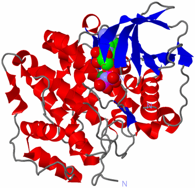 Image Asym./Biol. Unit