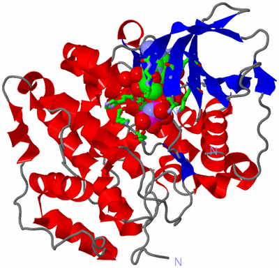 Image Asym./Biol. Unit - sites