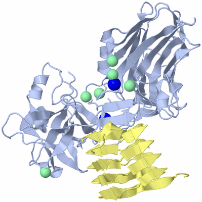 Image Biological Unit 1