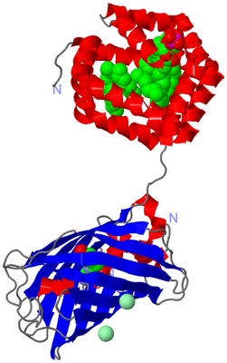 Image Asym./Biol. Unit