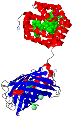 Image Asym./Biol. Unit - sites