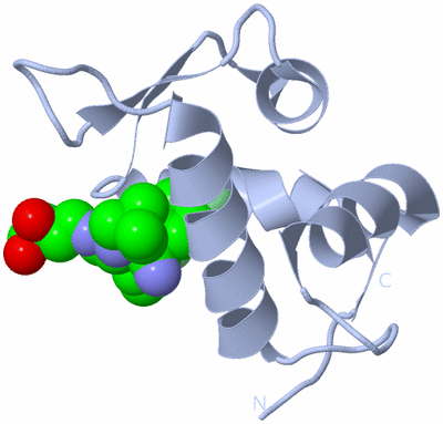 Image Biological Unit 1