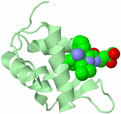 Image Biological Unit 2