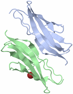 Image Asymmetric Unit