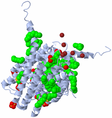 Image Biological Unit 1