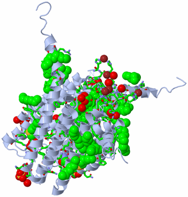 Image Biol. Unit 1 - sites