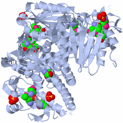 Image Biological Unit 1