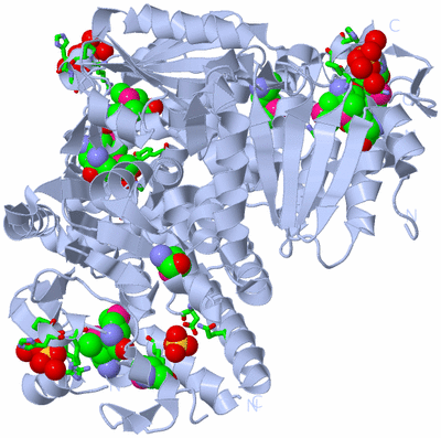 Image Biol. Unit 1 - sites