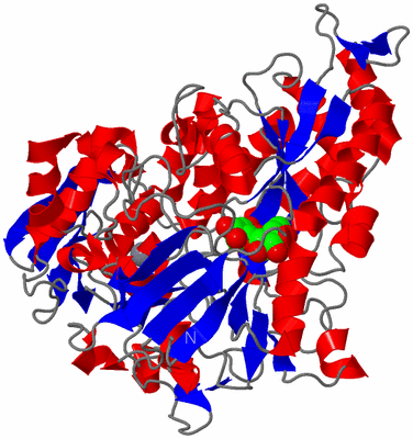 Image Asym./Biol. Unit