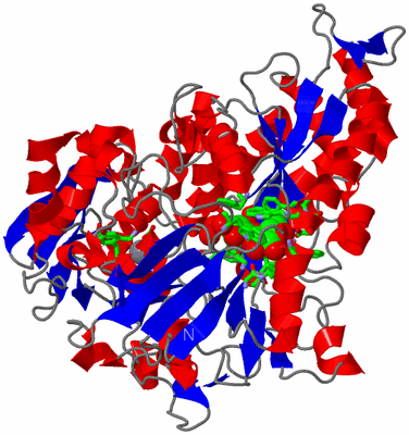 Image Asym./Biol. Unit - sites