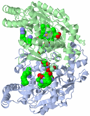 Image Asym./Biol. Unit