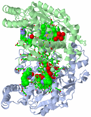 Image Asym./Biol. Unit - sites