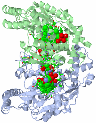 Image Asym./Biol. Unit - sites