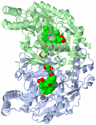 Image Asym./Biol. Unit