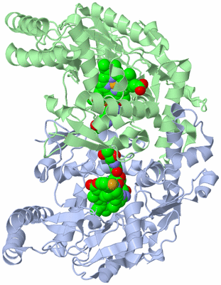 Image Asym./Biol. Unit