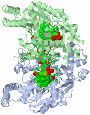 Image Asym./Biol. Unit - sites