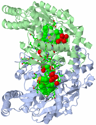 Image Asym./Biol. Unit - sites