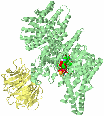 Image Biol. Unit 1 - sites