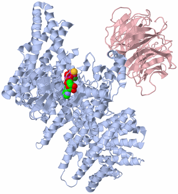 Image Biological Unit 2