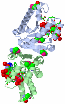 Image Asym./Biol. Unit - sites