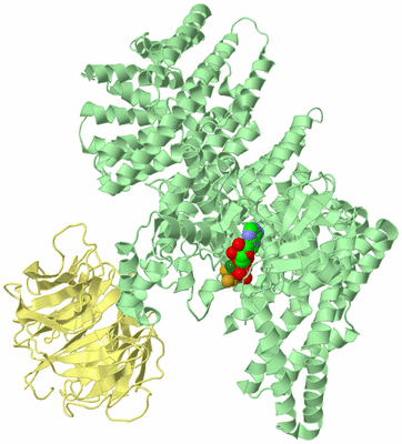 Image Biological Unit 1