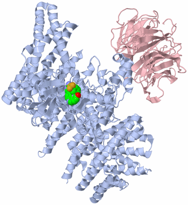 Image Biological Unit 2