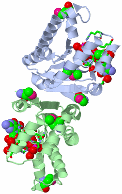 Image Asym./Biol. Unit - sites