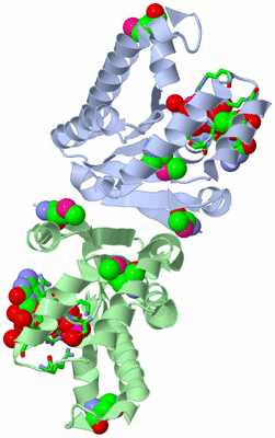 Image Asym./Biol. Unit - sites