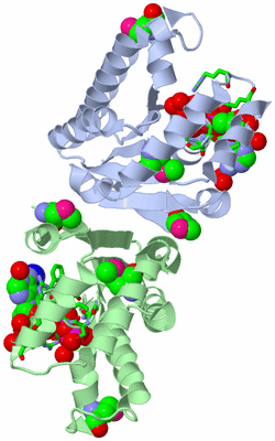 Image Asym./Biol. Unit - sites