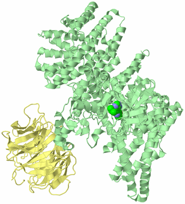 Image Biological Unit 1