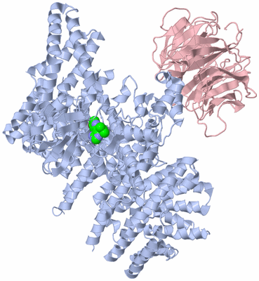 Image Biological Unit 2