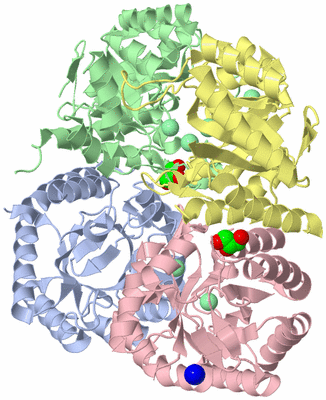 Image Asym./Biol. Unit