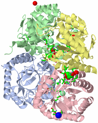 Image Asym./Biol. Unit - sites