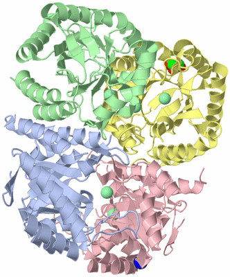 Image Asym./Biol. Unit