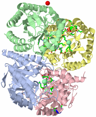 Image Asym./Biol. Unit - sites